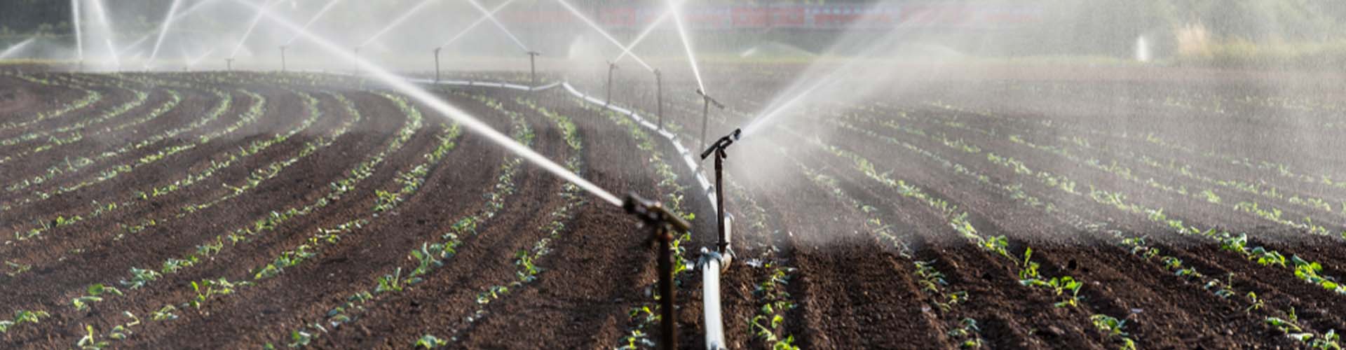 Ventajas de usar tuberías de PVC en redes de riego agrícola
