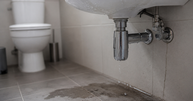 Si el baño huele mal, el problema no siempre es la limpieza
